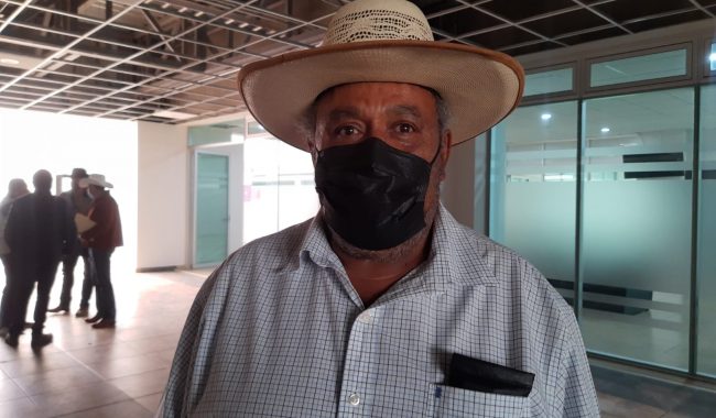Programas de acopio no benefician a productores locales