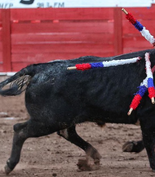 Forcados Amadores de México, presentes en Juchipila