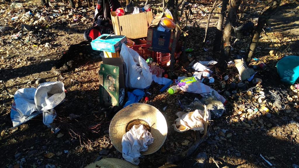 Desmantelan campamento utilizado por grupos delincuenciales