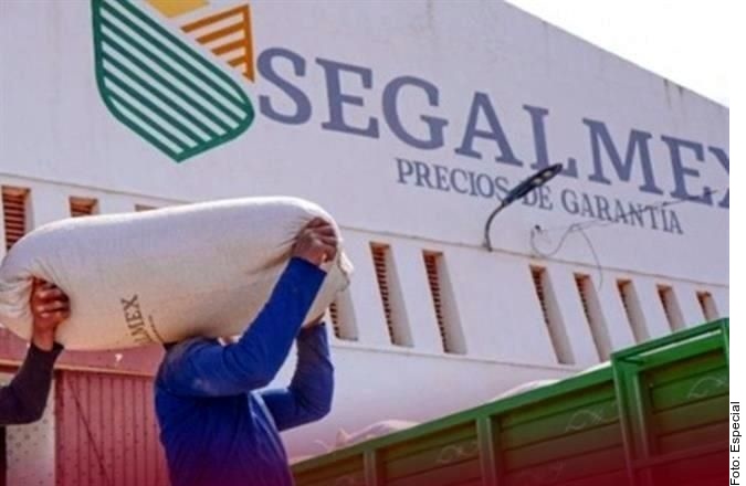 Da Segalmex 142 mdp… ¡a empresa de hielo!