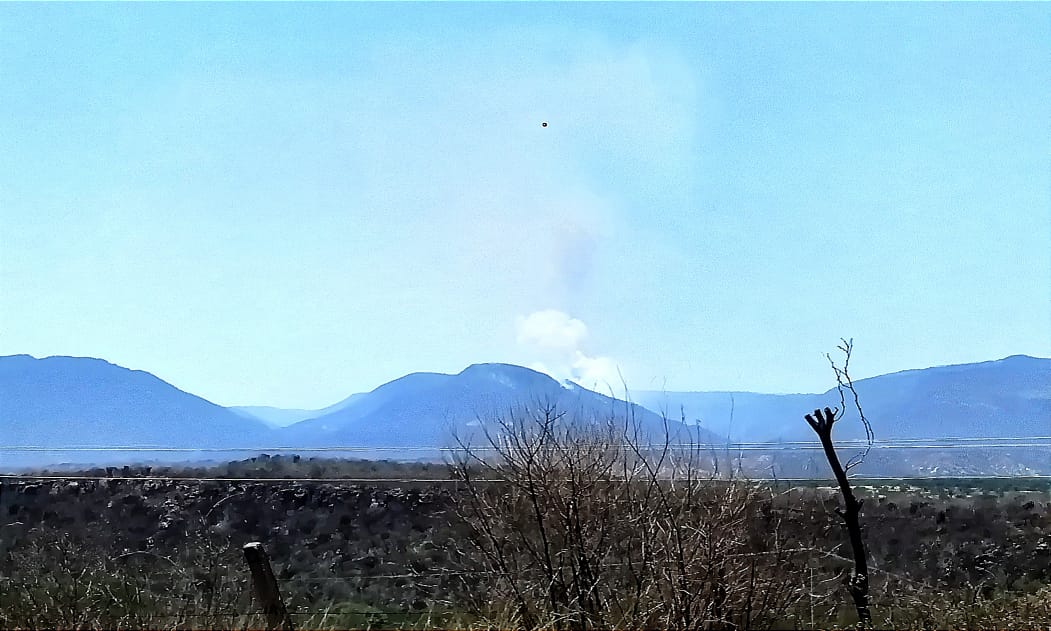 Incendio en Tabasco afecta mil hectáreas