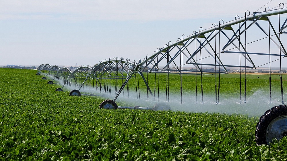 Merman ganancias de agricultores por robo