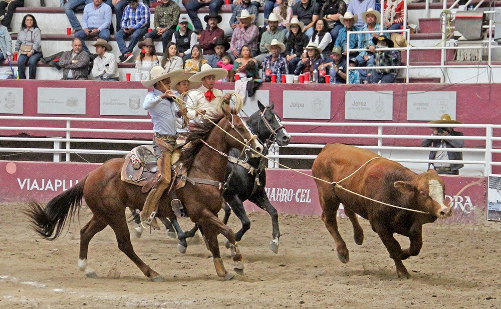 Arranca Categoría Libre en el Estatal Zacatecano