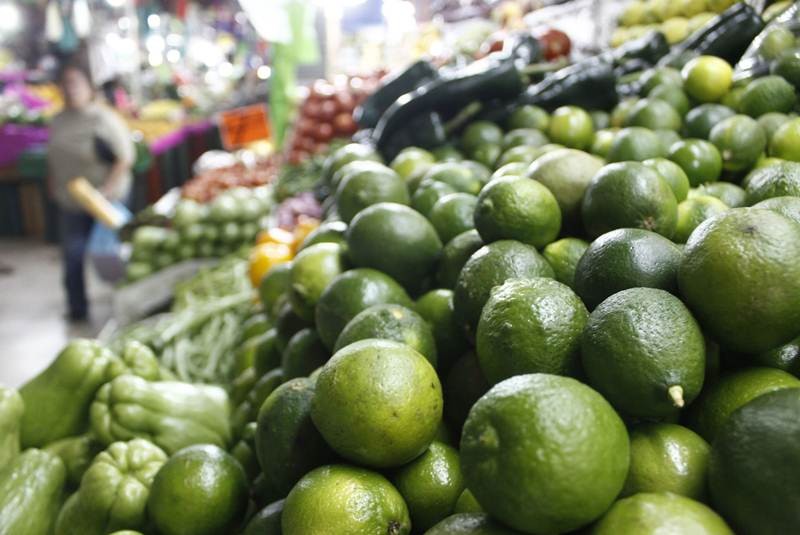 Plaga amenaza con acabar con los cítricos del estado