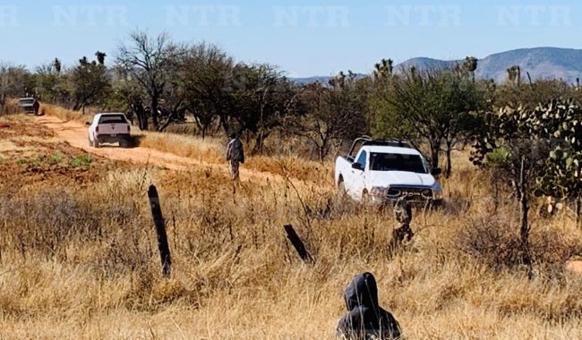 Muere hombres tras ser atacado por abejas