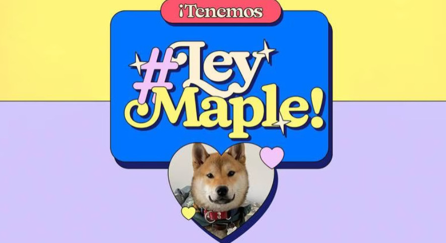 Ley Maple: 5 cosas que hay que saber sobre la regulación a pensiones para mascotas