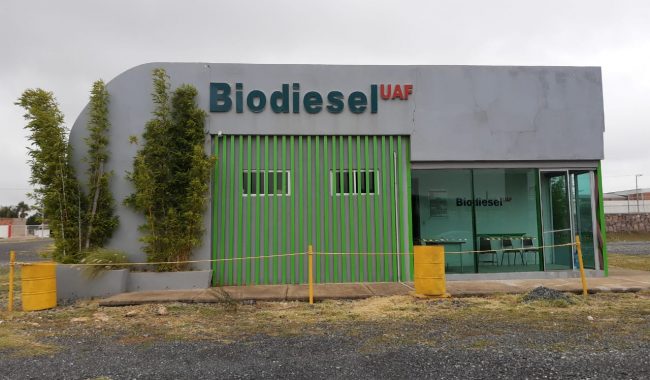 UAF continúa fabricación de biodiésel