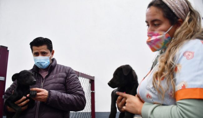 En Guadalupe, anuncian arranque del primer parque para mascotas