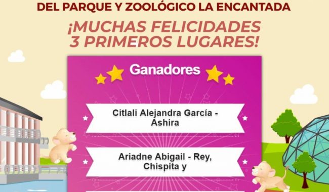 Anuncian ganadores del concurso Ponle Nombre a los Leoncitos
