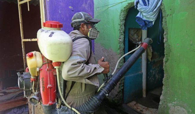 Alertan por supuestas empresas de fumigación en Fresnillo