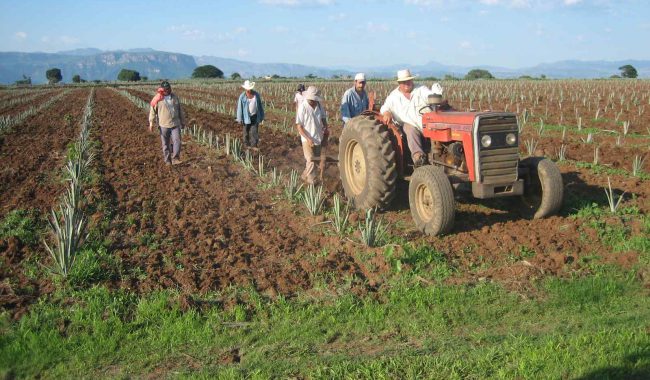 Ayuntamiento incumple acuerdos para atender jornaleros en Río Florido