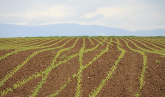 Presenta Zacatecas problema de predios irregulares