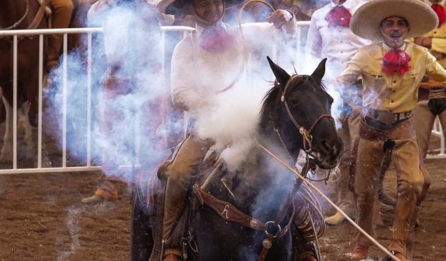 Herradura de Villa de Cos, sigue de puntero