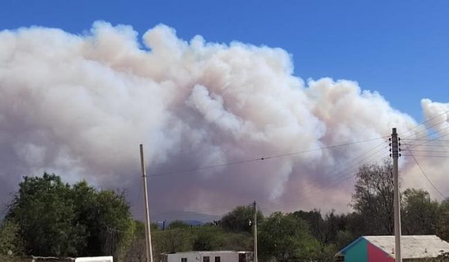 Tragedia ecológica, incendio en sierra