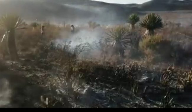 Piden víveres para brigadistas que sofocan incendio en Concha del Oro