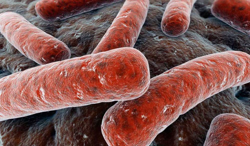 Tuberculosis, enfermedad más contagiosa