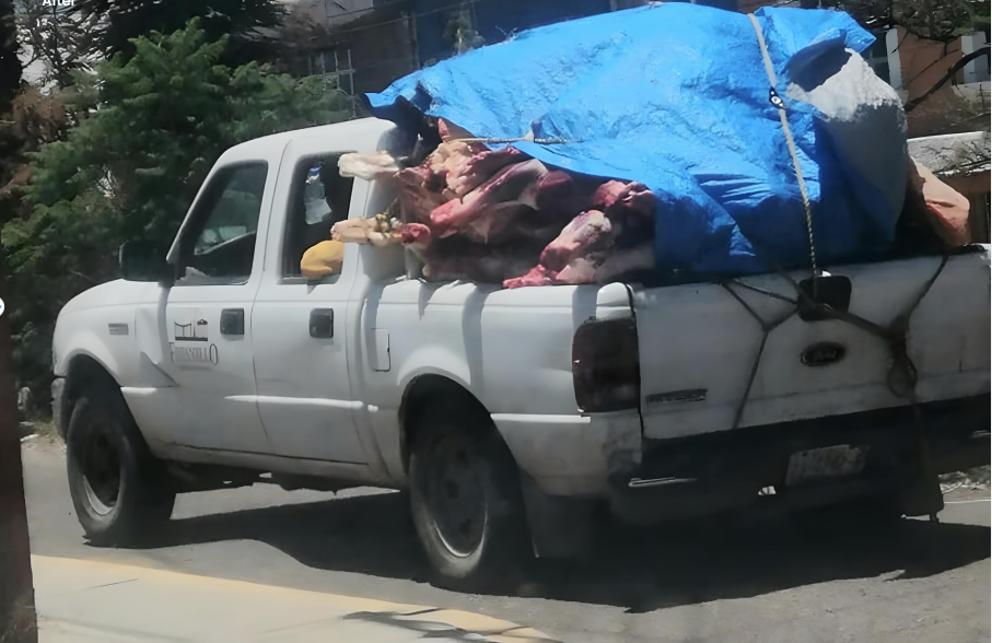 Rastro, sin unidad para transportar carne