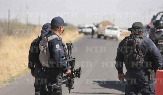 Hallan seis cuerpos en carretera de Pinos