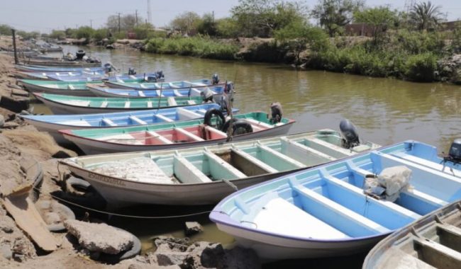 Arranca Bienpesca proceso de verificación y actualización de datos