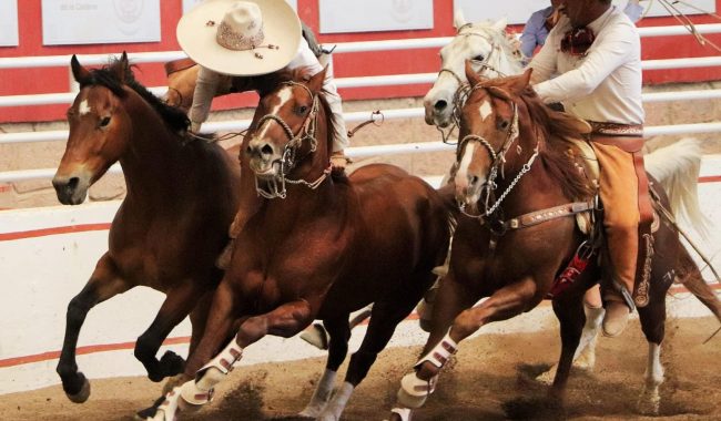Rancho Las Cuatas se sube a lo más alto del Campeonato Nacional del Mezcal y la Plata