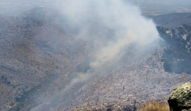 Con retraso, apoyo de PC estatal en incendio