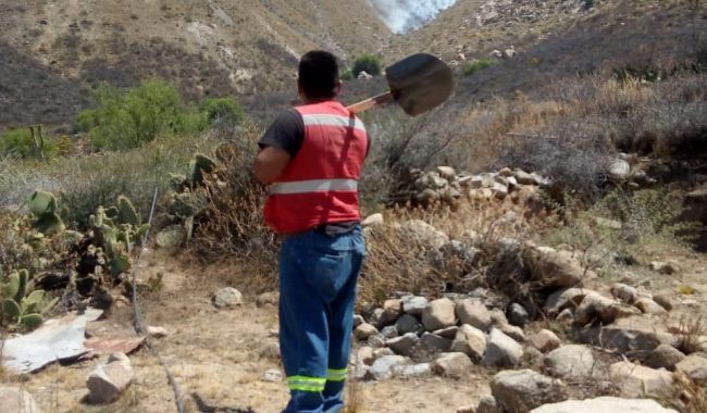 Se incendia cerro La Sierpe
