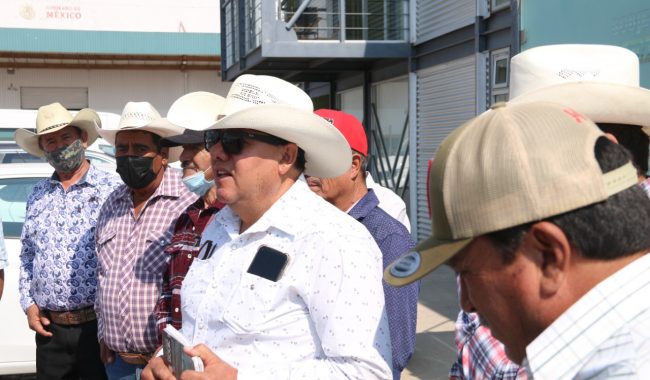 Productores solicitan reunirse con nuevo titular de Segalmex
