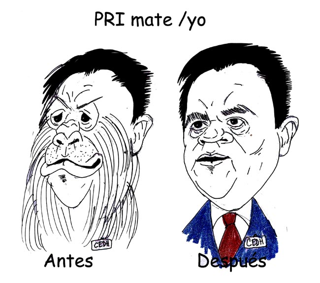 Los monos de El Tal Yo