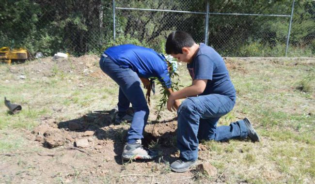 Plantan 1 mil árboles en Aranzazú