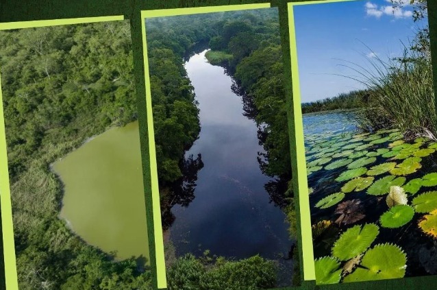 México decreta tres Áreas Naturales Protegidas