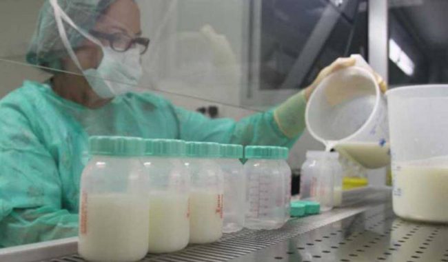 Recaudan hasta 600 litros mensuales de leche materna