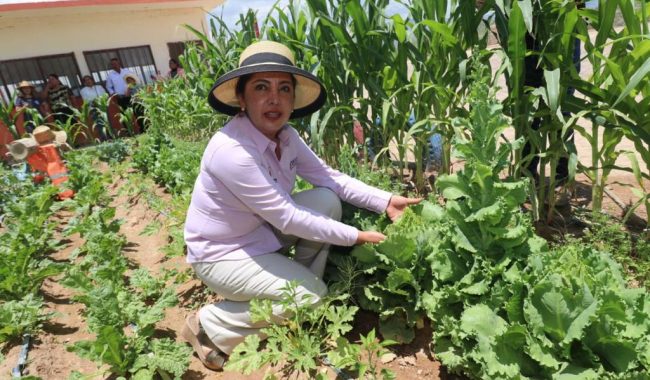 Entregan apoyos a familias de Melchor Ocampo