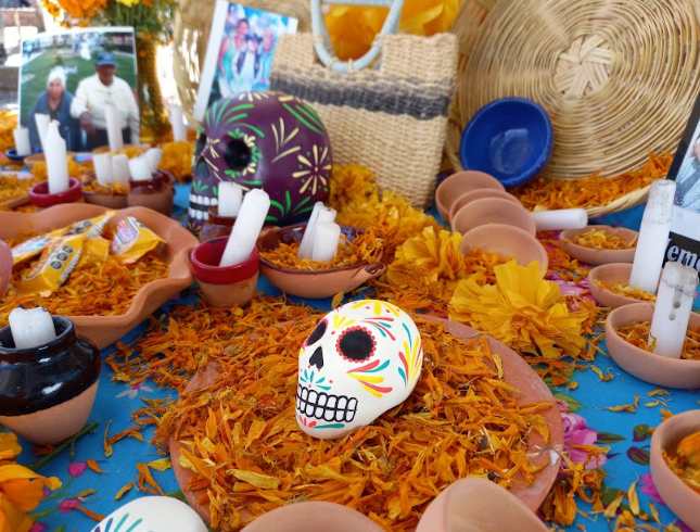 Preparan festival Ánimas del Semidesierto