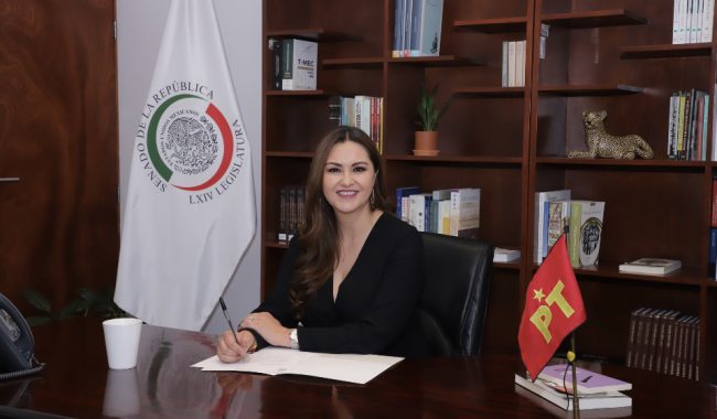 Piden fortalecer la seguridad en espacios públicos de Zacatecas