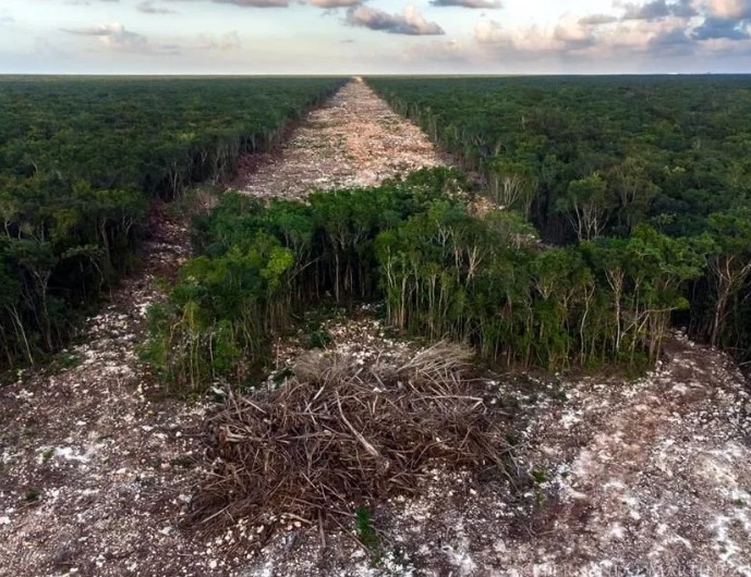 Premian foto de deforestación en ruta del Tren Maya