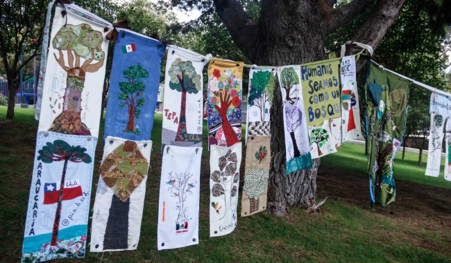 Bosque de Esperanza, arte y ecología en el Zigzag