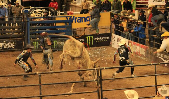 Lucha Libre y Cuernos Chuecos en la Fenaza 2022