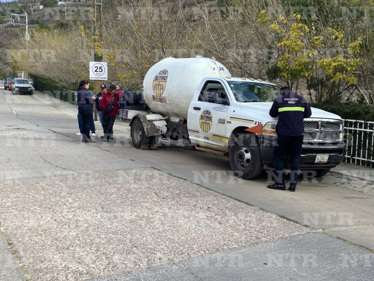 Choca pipa en Lomas del Bosque