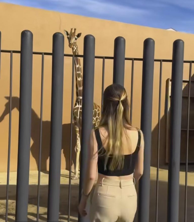 Presume hija de Hank jirafa en su casa
