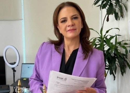 En riesgo, derecho a información y privacidad: Del Río