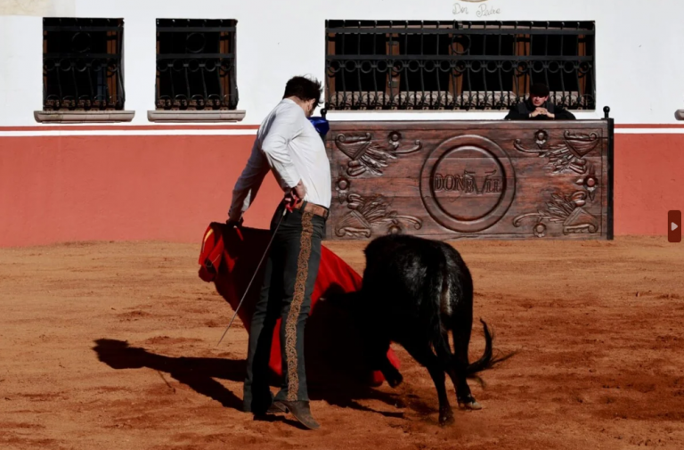 Exitosa tienta en la ganadería Pedro Haces e hijos
