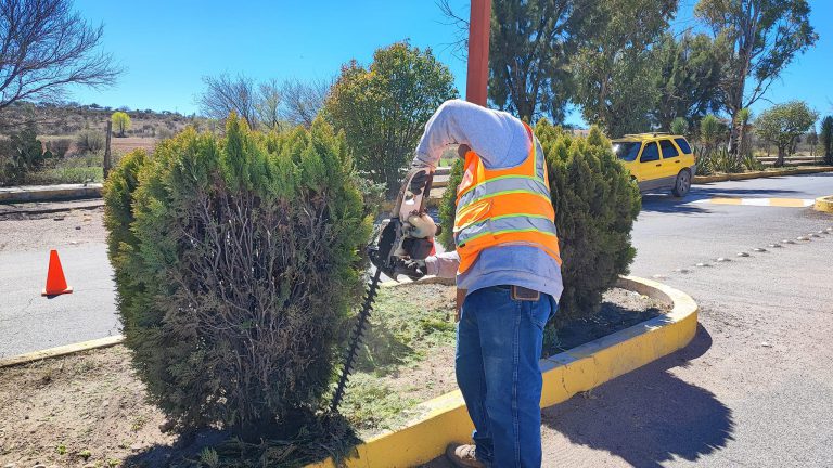 Limpian bulevar para evitar percances en Sain Alto