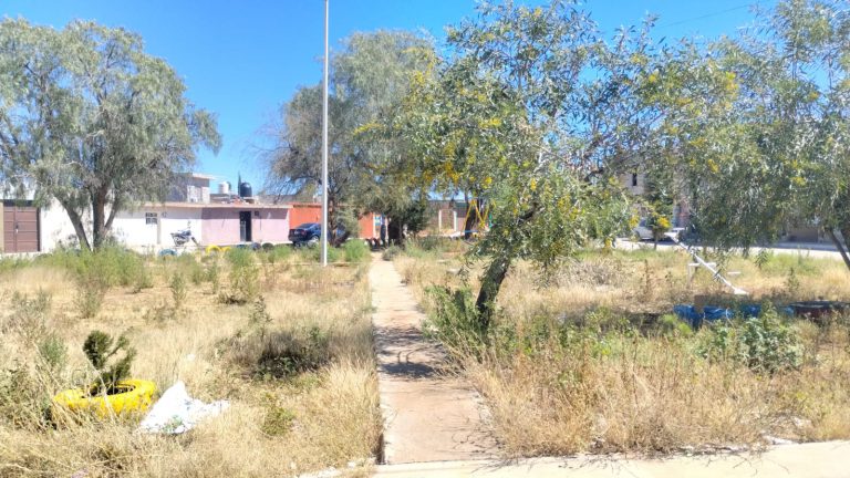 Piden vecinos que se cumpla con la construcción de parque
