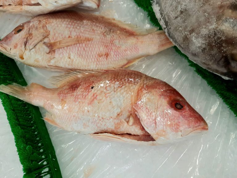 Recomienda SSZ verificar mariscos antes de consumirlos