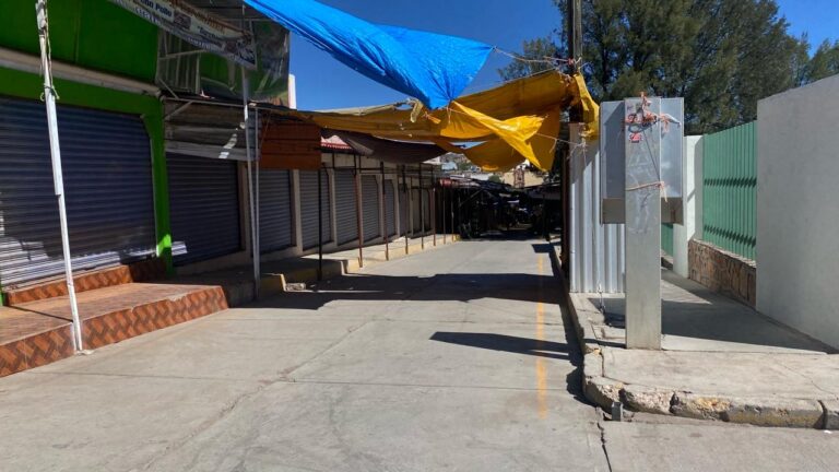 Reportan bajan ventas en Plateros