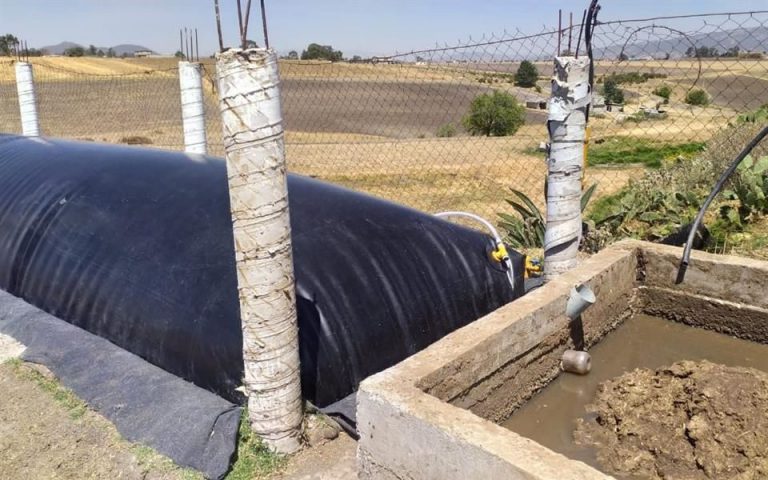 Ahorran con biodigestores hasta $20 mil anuales