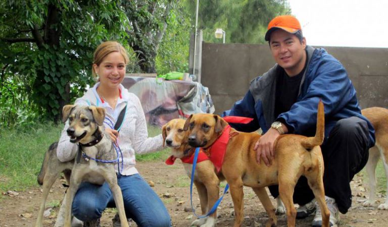 Convivir con perros es terapéutico