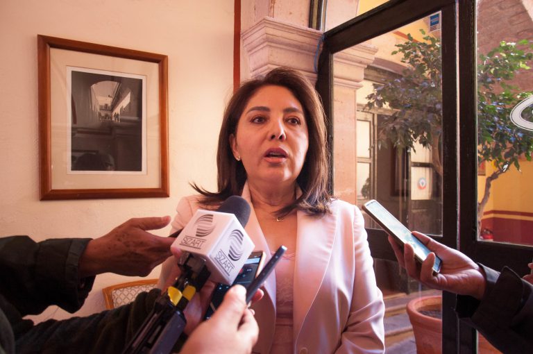 En curso, 17 procesos de adopción