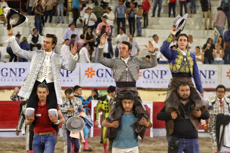 Gran nivel de rejones en Irapuato