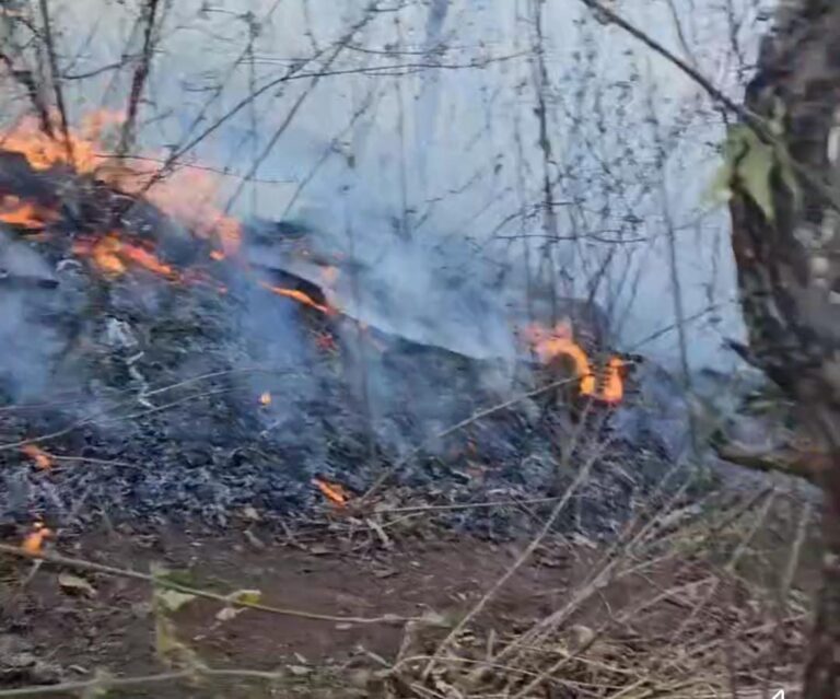 Incendio en Teúl de González daña cinco hectáreas